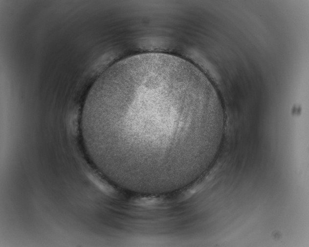 X0000101190065200807251012