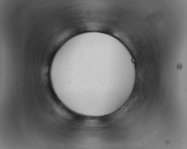 X0000101190066200807251012