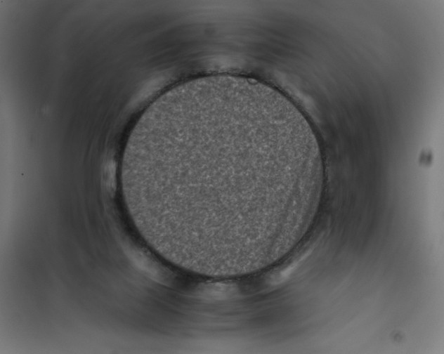 X0000101190067200807251012