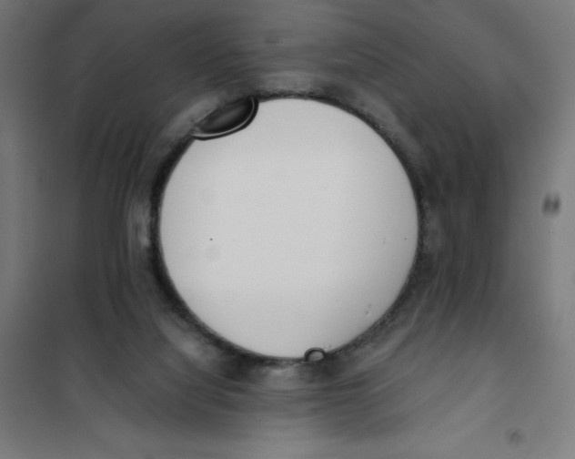 X0000101190068200807251012