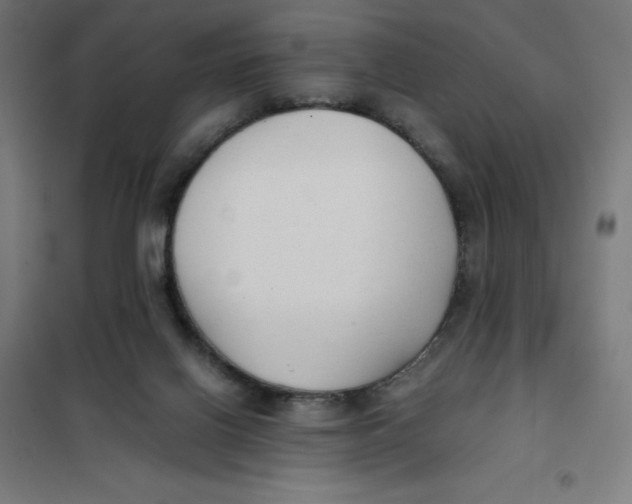 X0000101190070200807251012