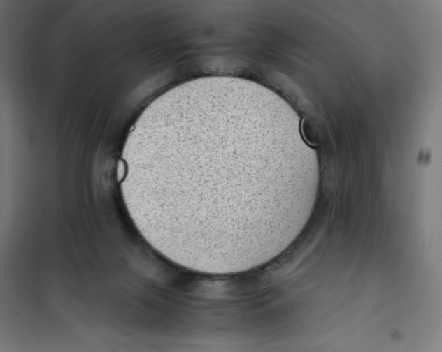 X0000101190071200807251012