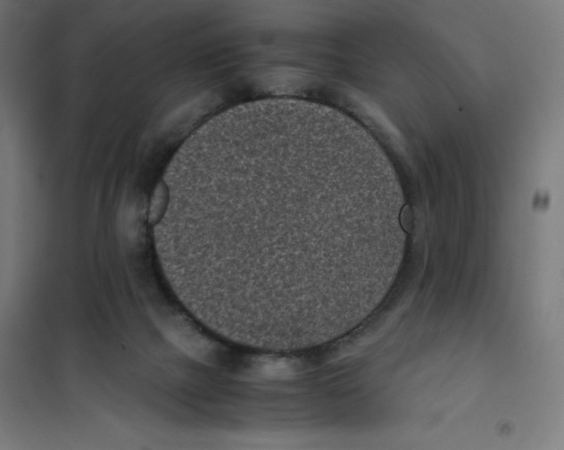 X0000101190073200807251012