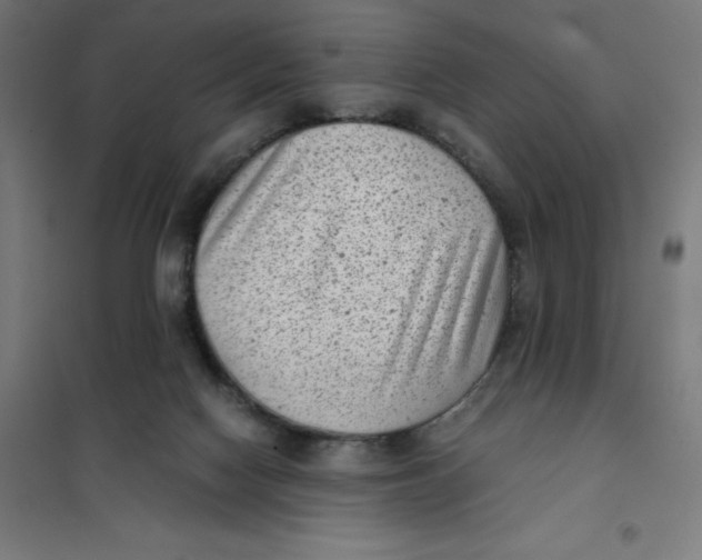 X0000101190074200807251012