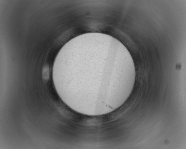 X0000101190075200807251012