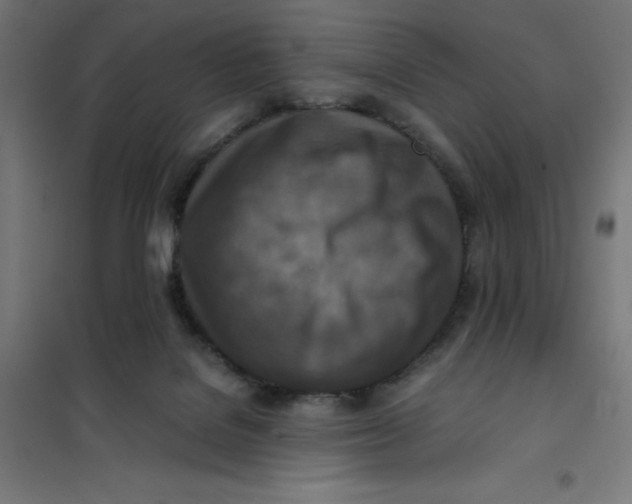 X0000101190076200807251012