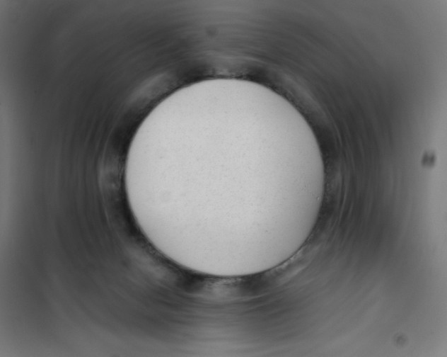 X0000101190078200807251012