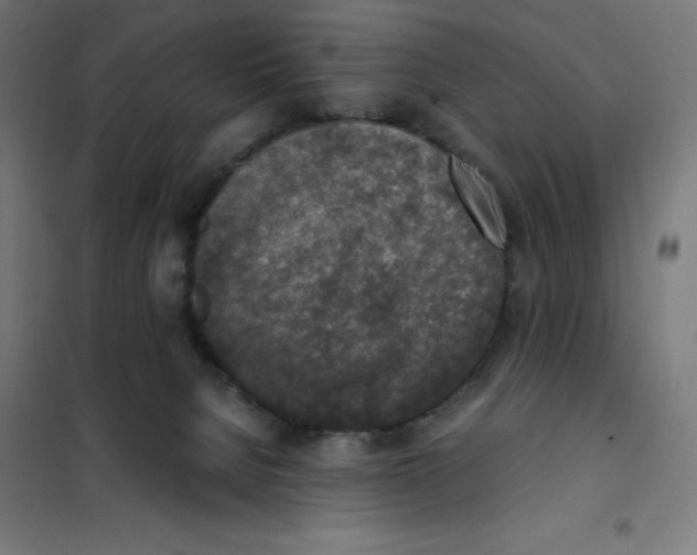 X0000101190080200807251012