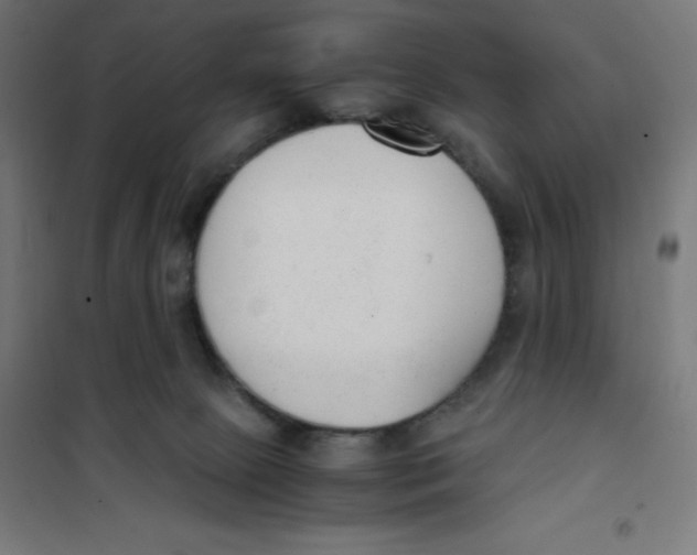 X0000101190081200807251012