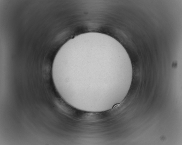 X0000101190082200807251012