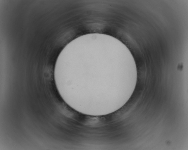 X0000101190083200807251012
