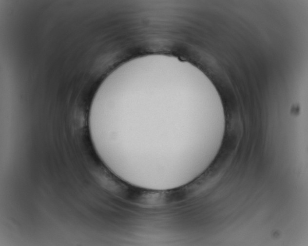 X0000101190084200807251012