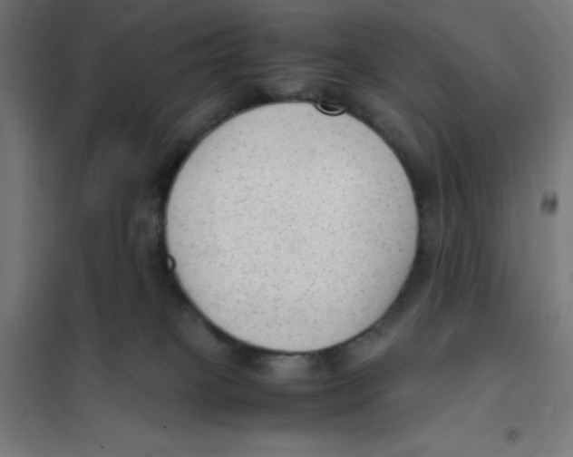 X0000101190085200807251012