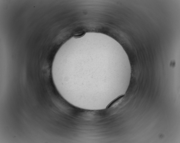 X0000101190086200807251012