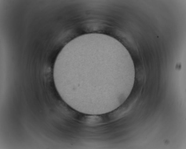 X0000101190087200807251012