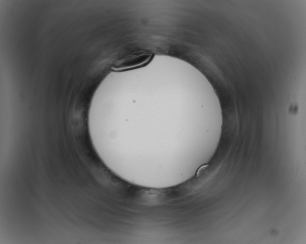 X0000101190088200807251012