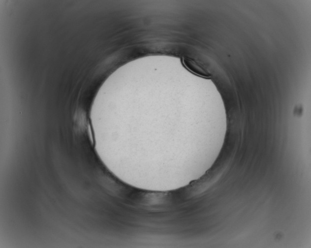 X0000101190089200807251012