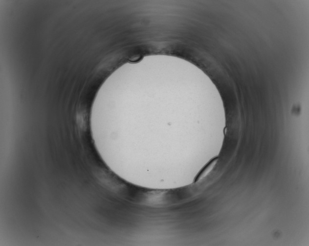 X0000101190090200807251012