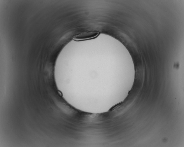 X0000101190092200807251012
