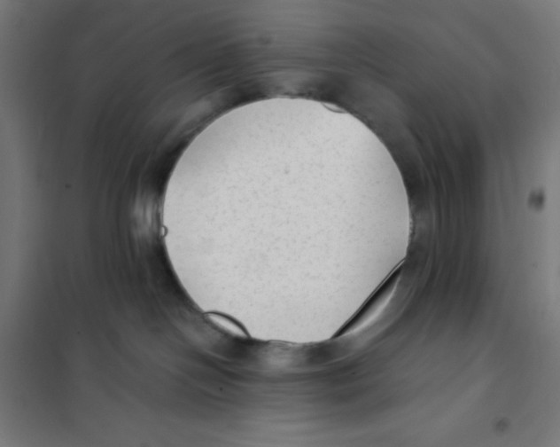 X0000101190094200807251012