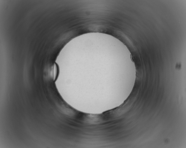 X0000101190095200807251012