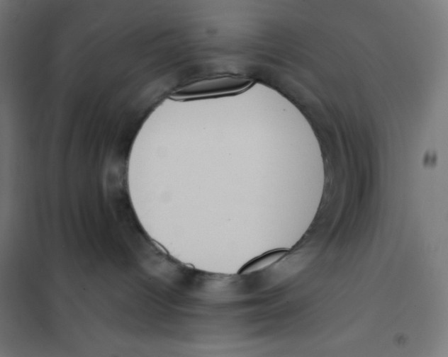 X0000101190096200807251012