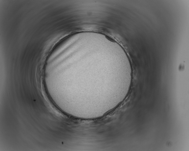X0000101190097200807251011
