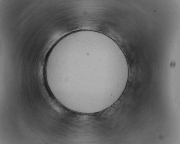 X0000101190098200807251011