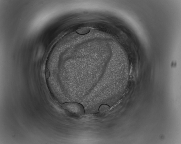 X0000101190099200807251011