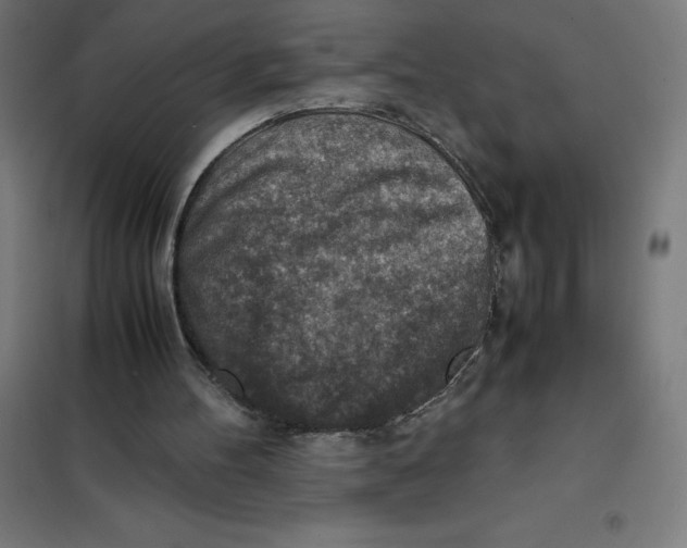 X0000101190100200807251011