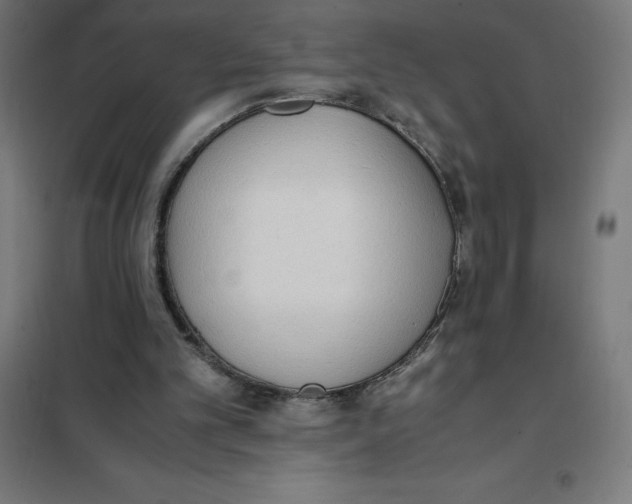 X0000101190101200807251011