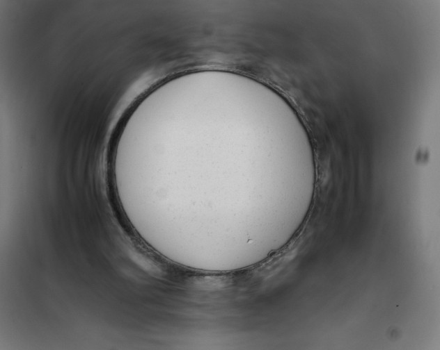 X0000101190102200807251011