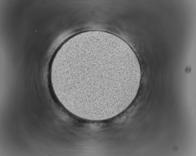X0000101190103200807251011