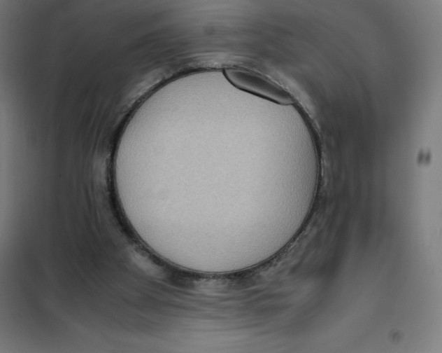 X0000101190105200807251011
