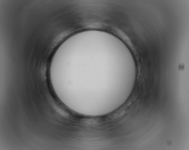 X0000101190106200807251011