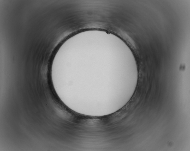 X0000101190108200807251011