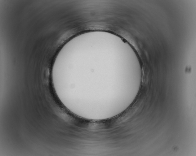 X0000101190109200807251011