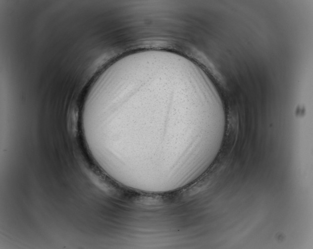X0000101190110200807251011
