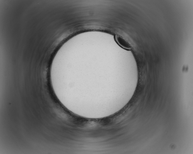 X0000101190111200807251011