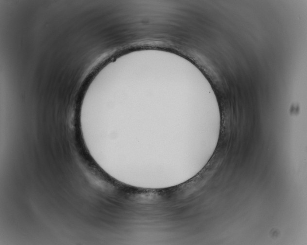 X0000101190112200807251011