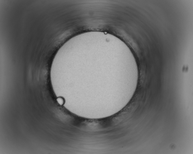 X0000101190113200807251011