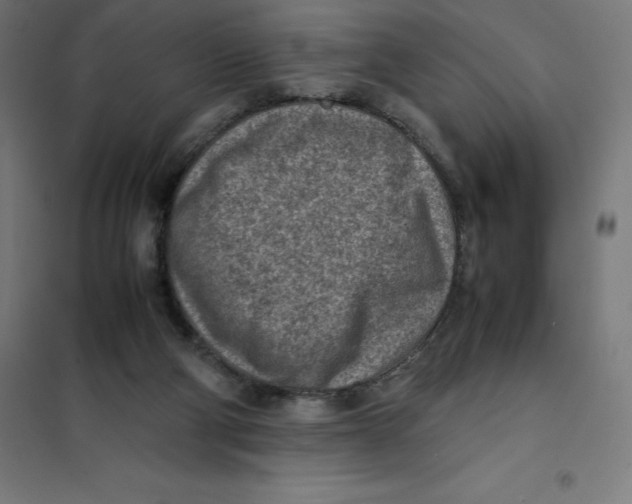 X0000101190114200807251011