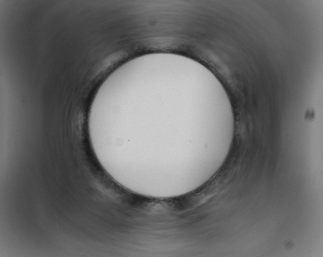 X0000101190115200807251011
