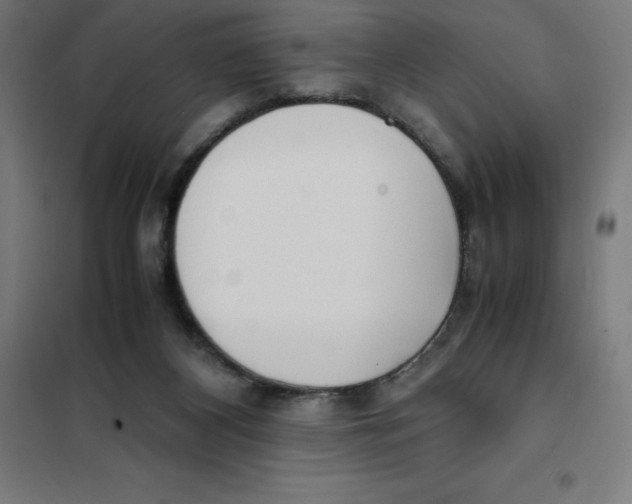 X0000101190116200807251011