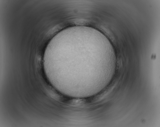 X0000101190117200807251011