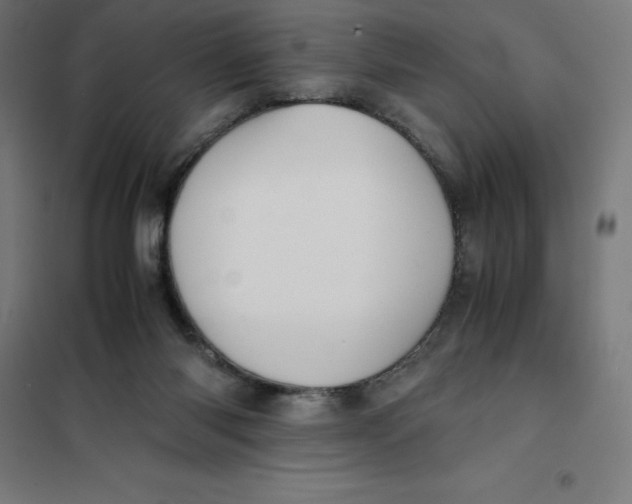 X0000101190118200807251011