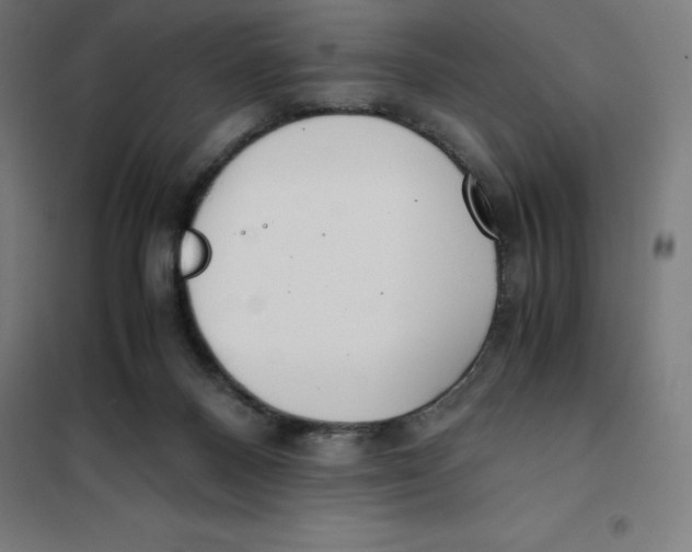 X0000101190120200807251011