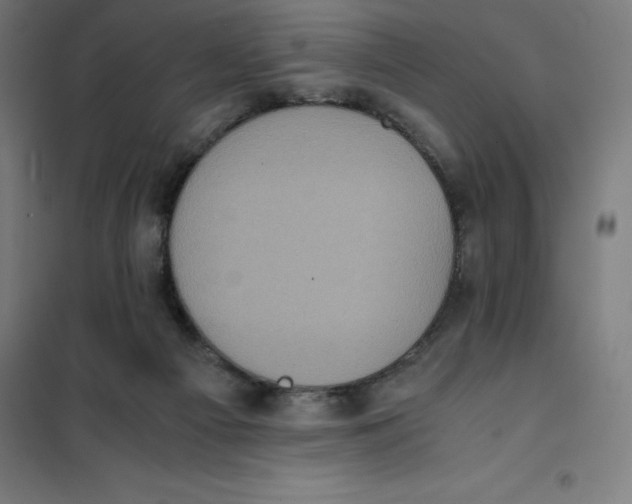 X0000101190121200807251011