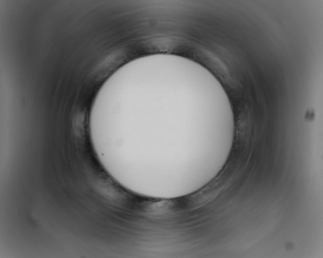 X0000101190122200807251011