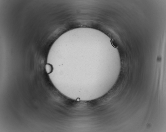 X0000101190123200807251011
